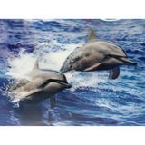 Marsilyan™- 3 Boyutlu Resim Sevimli Yunuslar Ikili Yunus Resmi Tablosu 30X40 cm - Renkli - standart