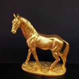 Marsilyan At Biblosu Gold Renk - Renkli - standart