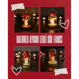 Marsilyan- Balonlu Ayıcık Ledli Gül Fanus - Renkli - standart