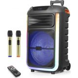 Marsilyan Çift Karaoke Mikrofonlu Bluetooth Hoparlör Fm Radyo 40W 15 Inç Rgb Kumandalı Siyah NDR325 - Renkli