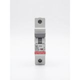 Marsilyan Eco Lounge Federal 1X10 A C Tipi 3ka Otomatik Sigorta Fm3-C 9EC-C0331-0D10