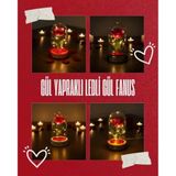 Marsilyan- Gül Yapraklı Ledli Gül Fanus - Renkli - standart