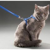 Marsilyan Kedi Boyun ve Göğüs Tasması - Renkli - 1