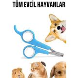 Marsilyan Kedi Tırnak Makası Evcil Hayvan Köpek Tavşan Tırnak Makası - Renkli - standart