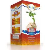 Marsilyan Kereviz Tohumlu Prst Çayı 150 Gr.- Kavanoz - Bitki Çayı