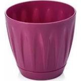 Marsilyan Papatya Saksı 4 Litre ROYALEKS-P004 - 1 - Renkli