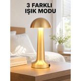 Marsilyan Şarjlı Dimmerli LED Masa Lambası – 4-8 Saat Aydınlatma Yeni Nesil - Renkli