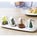 Marsilyan Seasoning Shakers Dört Mevsim Baharatlık - Renkli