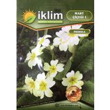 Mart Çiçeği Çiçek Tohumu 1 - Primula Acaulis (~ Takribi 30 Tohum)
