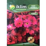 Mart Çiçeği Çiçek Tohumu 3 - Primula Acaulis (~ Takribi 30 Tohum)