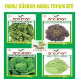 Marul Tohum Seti Kıvırcık Düz Kırmızı İceberg Marul