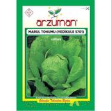 Marul Tohumu 1 Paket(10 GR) Yedikule Marul Tohumu