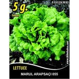 Marul Tohumu Arapsaçı 055 (Kıvırcık) - 5 g. (~ Takribi 2750 Tohum