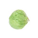 Marul Tohumu Iceberg 3 Gram K674.022