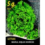Marul Tohumu Kışlık Kıvırcık - 5 G. (~ Takribi 2750 Tohum)