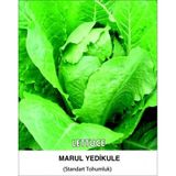 Marul Tohumu Yedikule 5701 Pk 10g (~ Takribi 5500 Tohum)