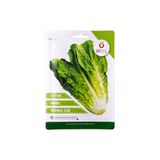 Marul -yedikule- 5701 Tohumu BTGY0134691035