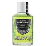 Marvis Mouthwash Concentrated Spearmint - Ağız Gargarası 120ml Naneli ağız gargarası