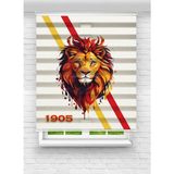 MAS 1905 Aslan Temalı Dijital Baskılı Desenli Zebra - Stor Perde - Çok Renkli