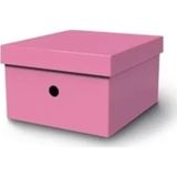MAS 8224 RAİNBOW KARTON KÜÇÜK BOY ARŞİV KUTUSU PEMBE