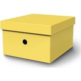 MAS 8224 RAİNBOW KARTON KÜÇÜK BOY ARŞİV KUTUSU SARI