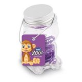 Mas Zoo Mor Cam Kavanozda Ataş