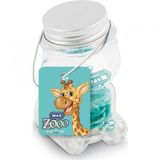 Mas Zoo No 2  Turkuaz Cam Kavanozda Plastik Kapli Atas
