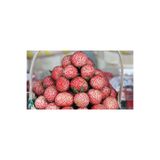 MASAL GARDEN 20 ADET ( OSMANLI ) ÇİLEK FİDANI AÇIK KÖK