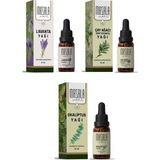 Masala Keneye Karşı Koruyucu 3'lü Yağ Seti (Çay Ağacı Yağı - Lavanta Yağı - Okaliptüs Yağı) - 10 ml