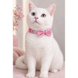 Masc Ozc Pembe Lastik Şeritli Ayarlanabilir Papyon Kedi Köpek Tasma