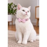 Masc Ozc Siyah Beyaz Lastik Şeritli Papyon Kedi Tasma