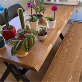 Masif Ağaç Mutfak Masası 120cmx85cmx76cm- Açık Ceviz