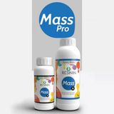 Mass 1400 Gr A+B Büyük Hacim İçin Ultra Şeffaf Epoksi Reçine