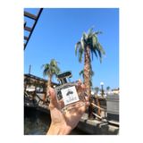 Massive Albatros Absolu(Creed Absolu Aventus) Ananas, Bergamot, Gül ve Misk Temalı Ferah-Odunsu Erkek Kokusu