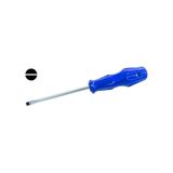 Master 505704 Düz Uçlu Tornavida 5x100 mm, MASTER.505704