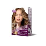 Master colorist Hair Color Perfection Set Saç Boyası 7.3 Fındık Kabuğu