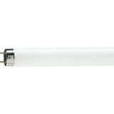 MASTER TL-D 90 De Luxe 18W/950 1SL/10 5300K Beyaz Floresan Ampul