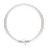 MASTER TL5 Circular 22W/840 1CT/10 4000K Beyaz Floresan Ampul