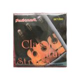 Masterwork Müzik Klasik Gitar Tel Seti Pena