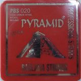 Masterwork Pyramid 0.20 Uzun Sap Bağlama Teli Yüksek Kalite Çelik Türkiye Menşeli
