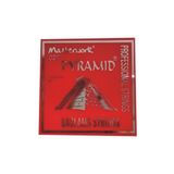 Masterwork Pyramid 0.20 Uzun Sap Saz Teli Tezene