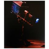 Mat Collishaw-Hayat Görüntü - kollektif