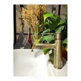 Mat Gold Lavabo Bataryası Antik Lavabo Bataryası Altın Lavabo Musluğu Fırçalanmış Mat Altın Batarya
