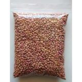 Matador Cinsi Standart Ithal Ispanak Tohumu 100 Gr (Kuzu Ispanak)