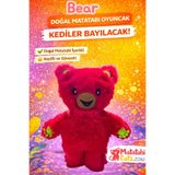 Matatabi Cats Bear Peluş Kedi Oyuncağı (Doğal Matatabi, Dayanıklı, Eğlenceli)