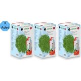 Matcha 3 Kutu Matcha Detox Çayı Orjinal Yeni Paket
