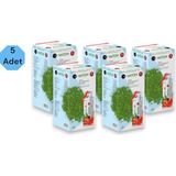 Matcha 5 Kutu Matcha Detox Çayı Orjinal Yeni Paket