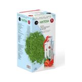 Matcha Çayı 20'li