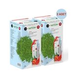Matcha Premium Japanese Çilek Aromalı Detox Burner Form Çayı 2 Kutu