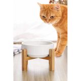 Matgo Pati Çam Ağacı Kedi Köpek Beslenme Mama ve Su Kabı Seramik Kaseli 500ML Hacim Kaymaz Devrilmez 1 Ad.